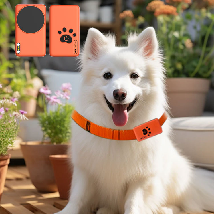 AI Wearable Pet Health Monitor - Breath Rate Monitor บทวิจารณ์และราคา