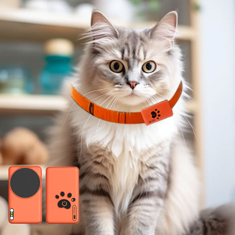 AI Wearable Pet Health Monitor - Breath Rate Monitor บทวิจารณ์และราคา